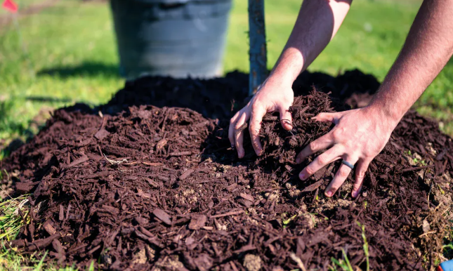 How Many Bags of Mulch in A Yard Using Wheelbarrows?